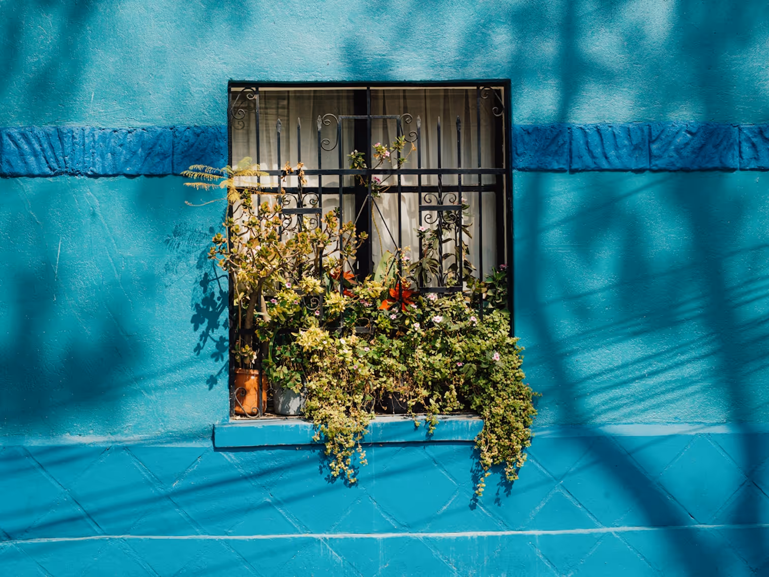 Credit: Death to Stock
Window with black wrought iron bars and lush plants hanging outside on turquoise textured wall.