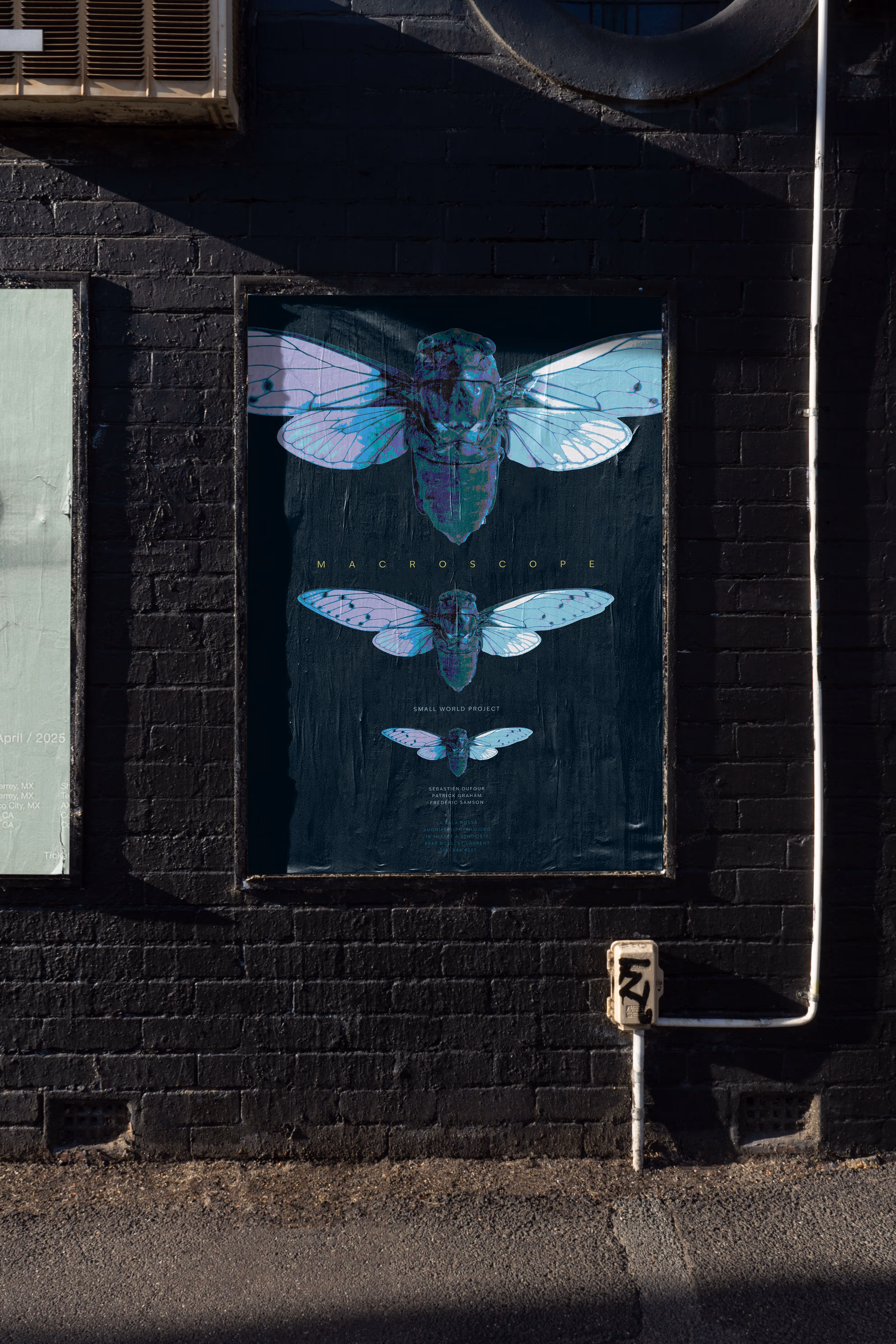 Credit: MMockups
Macroscope Poster on black brick wall 